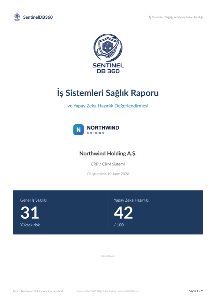 SentinelDB360 Lite örnek rapor önizlemesi